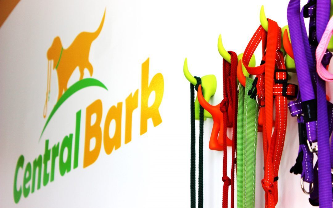The most central doggy daycare and grooming in Winnipeg? Central Bark