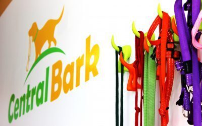 The most central doggy daycare and grooming in Winnipeg? Central Bark