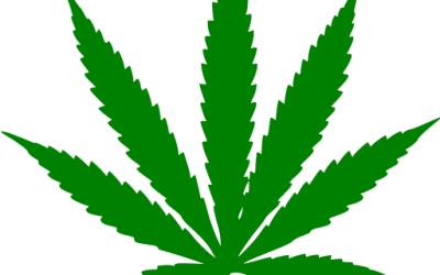 Is your business ready for cannabis legalization?