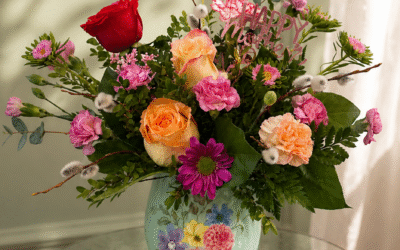 Mother’s Day in Winnipeg’s West End: Ways to Celebrate in the Neighbourhood